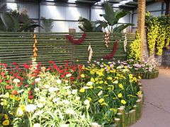 菊花展-三圣花乡旅游区