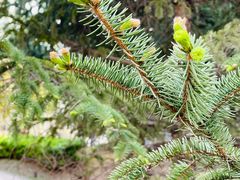 -春晖园度假酒店温泉