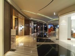 -DFS旗下T广场(新加坡店)
