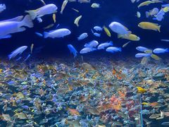 -成都浩海立方海洋公园