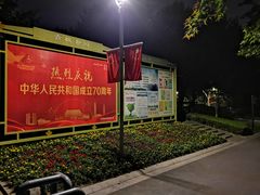 -青枫公园