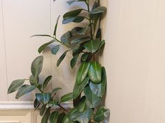 -君霖私家菜(春柳店)