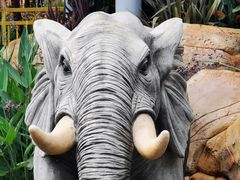 -七彩云南欢乐世界