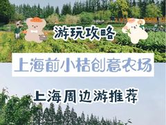 -前小桔亲子创意农场·草莓采摘·露营烧烤