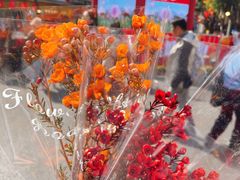 -越秀西湖花市(广州城市广场花卉店)