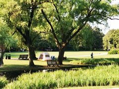 -上海共青森林公园