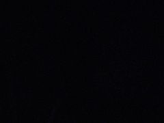 -康美味烧鸡卤肉店(中铁三局集团坞城小区店)