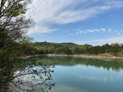 -南京市无想山景区