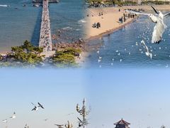 -富临港·蒸汽海鲜·手抓海鲜·炒菜(栈桥店)