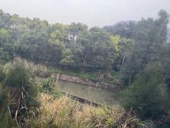 -雁荡山站