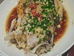 -全乐鱼馆·淳牌有机鱼直营店