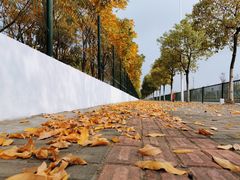 -無邪日式甜品(世博源店)