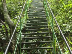 -藏龙百瀑风景区