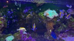 -Zoolung Zoolung动物主题公园(海信广场店)