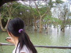 -东寨港红树林旅游区