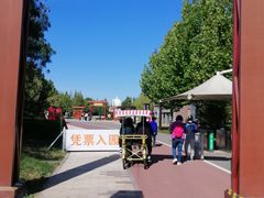 -武清南湖绿博园