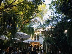 -Fern Forest Cafe
