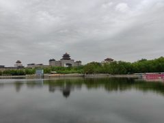 -莲花池公园