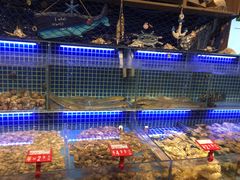-必点海鲜·鲅鱼水饺(鞍山西道店)