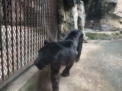 -南昌动物园