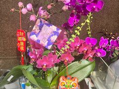 -扶光书店(中环店)
