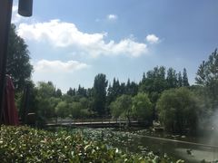 -梅林春晓花园餐厅