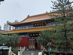 -天津市峰山药王古寺