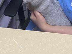 -宠颐生宠物医院外科·内科·皮肤科·影像科(石龙店)