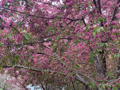 -元大都城垣遗址公园