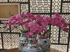 -静之湖湖畔餐厅