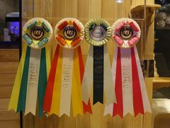 -藏猫猫咖啡主题馆(中央大道店)