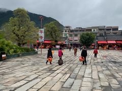 -悦城龙母祖庙