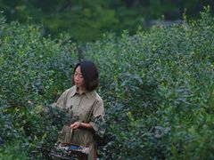 -金谷域澳洲庄园