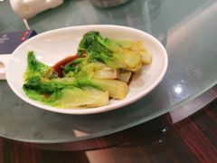 -湛江民大喜来登酒店-采悦轩中餐厅