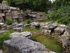 -莲花池公园