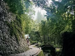 -莫干山风景区