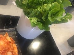 -燚青春东北泥炉烤肉(百合店)