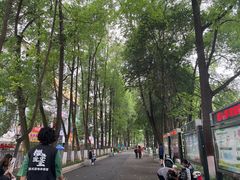 -绵阳人民公园(涪城区)