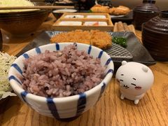 -胜博殿日式炸猪排(富力广场店)