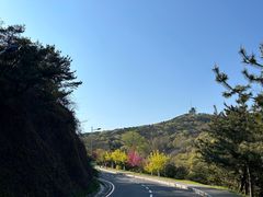 -棒棰岛宾馆景区