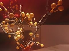 -京华烟云·北京烤鸭(领展购物广场·中关村店)