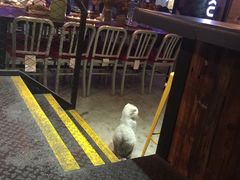 -MIKAKU(万达广场上海宝山店)