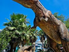 -海合安武汉极地海洋公园