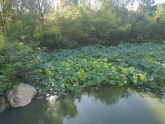 -城市运动公园(未央区)