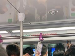 -岗子村(地铁站)