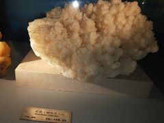 -中国地质大学逸夫博物馆