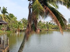-白沙门生态公园