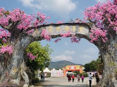 -天适樱花悠乐园