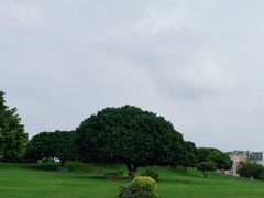-红花山公园