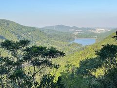 -田心森林公园
